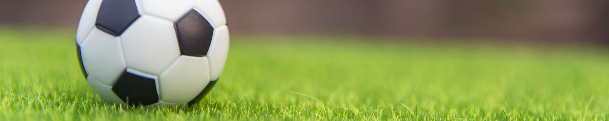 Detailfoto von einem Fußball auf grünem Rasen